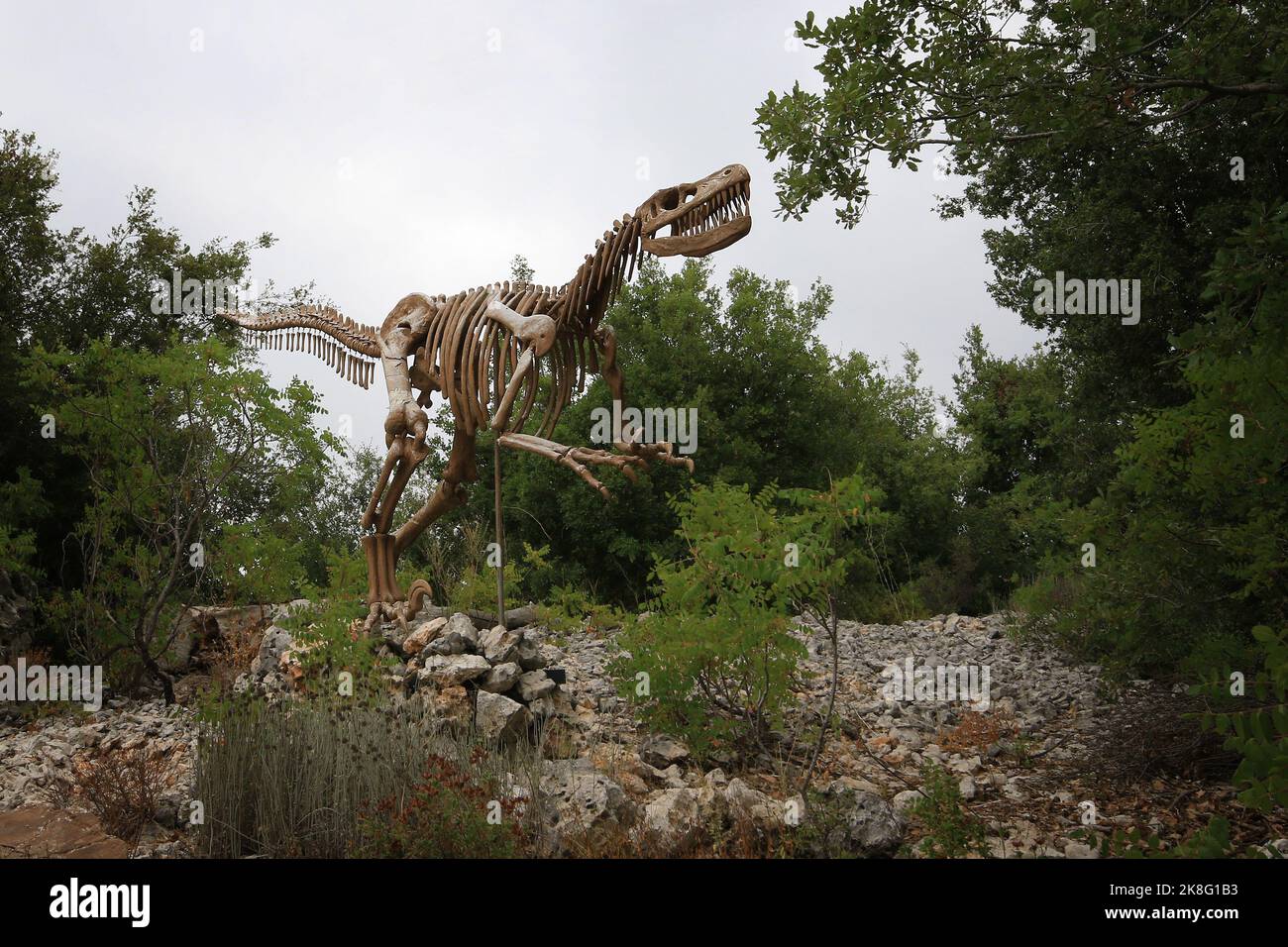 Ajaltoun, Libano - 14 agosto 2022. Satura di uno scheletro di dinosauro T-rex nel Parco cittadino di Dino ad Ajaltoun, Libano. Foto Stock