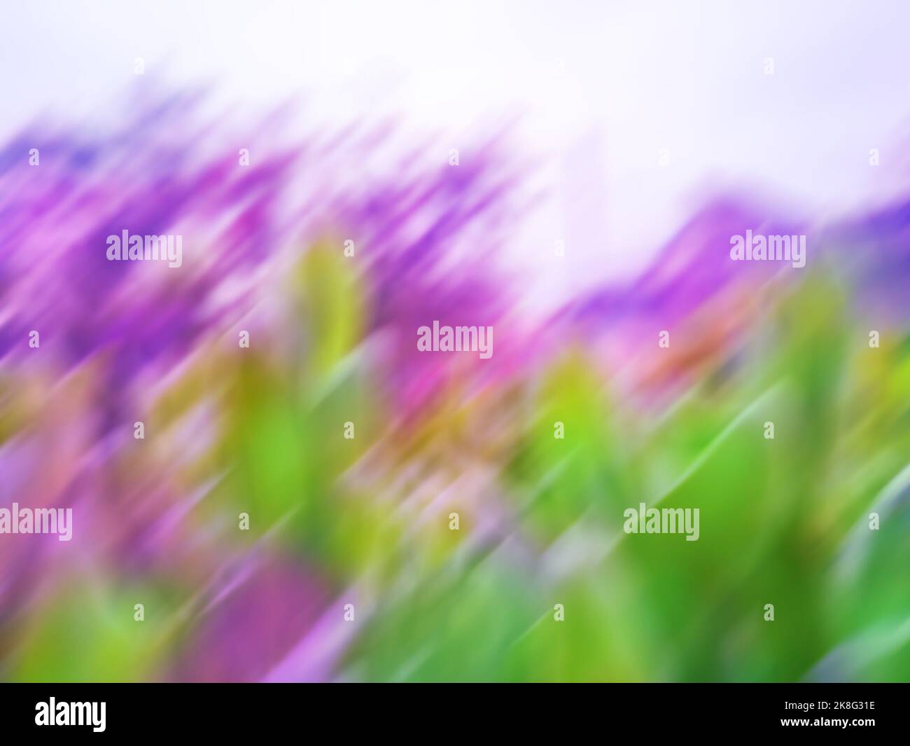 Multicolore primavera o estate sfondo sfocato. Sole giorni primavera o estate natura astratta sfondo sfocato. Foto Stock
