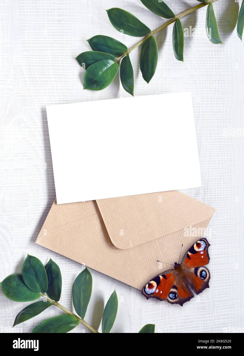 Scheda mock up con piante e farfalla. Biglietto d'invito con busta su sfondo bianco Foto Stock