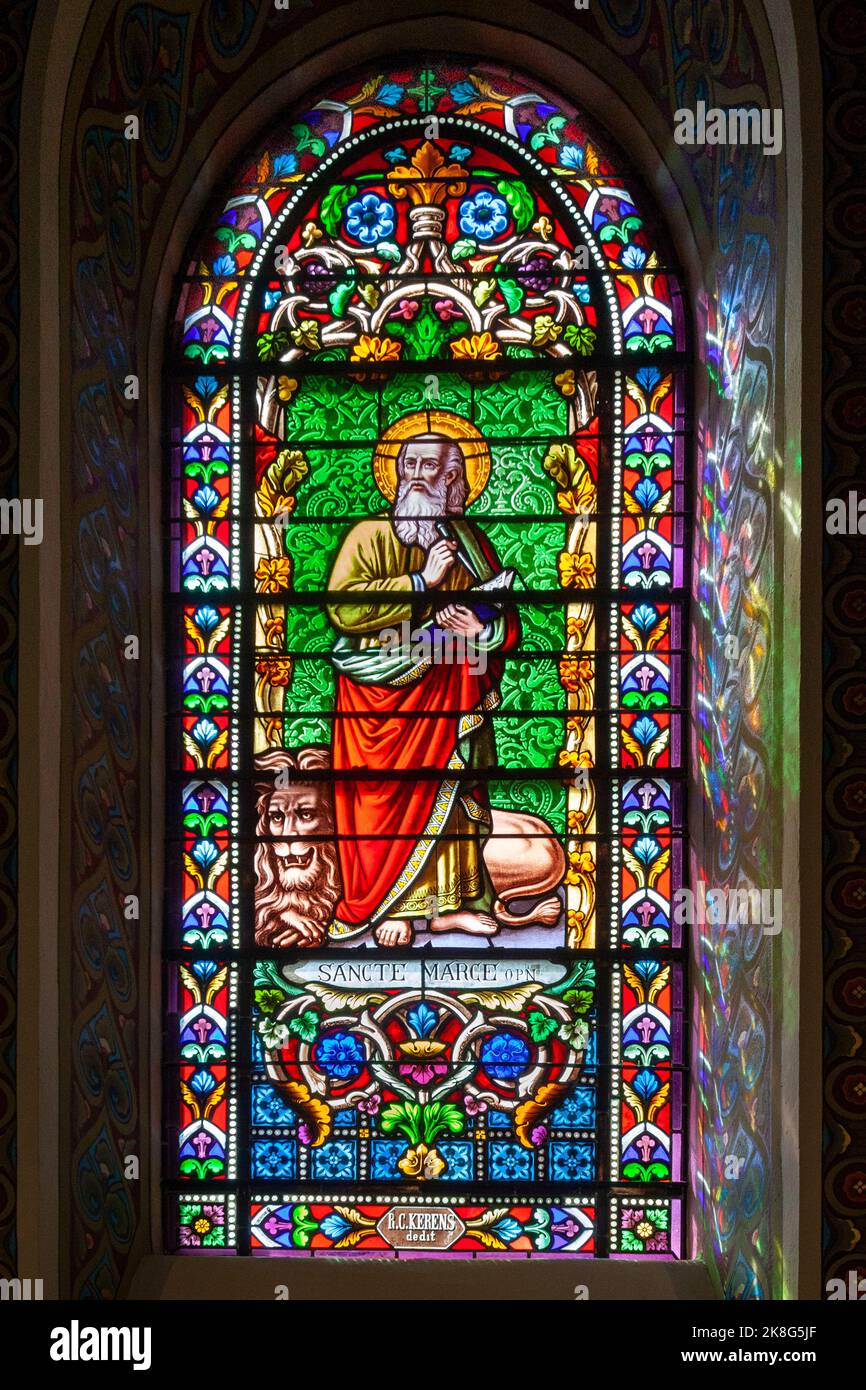 Vedova in vetro colorato raffigurante San Marco con un leone nella Basilica Cattedrale di San Francesco d'Assisi del 1887 - Catedral Basílica de San Francisco de A. Foto Stock