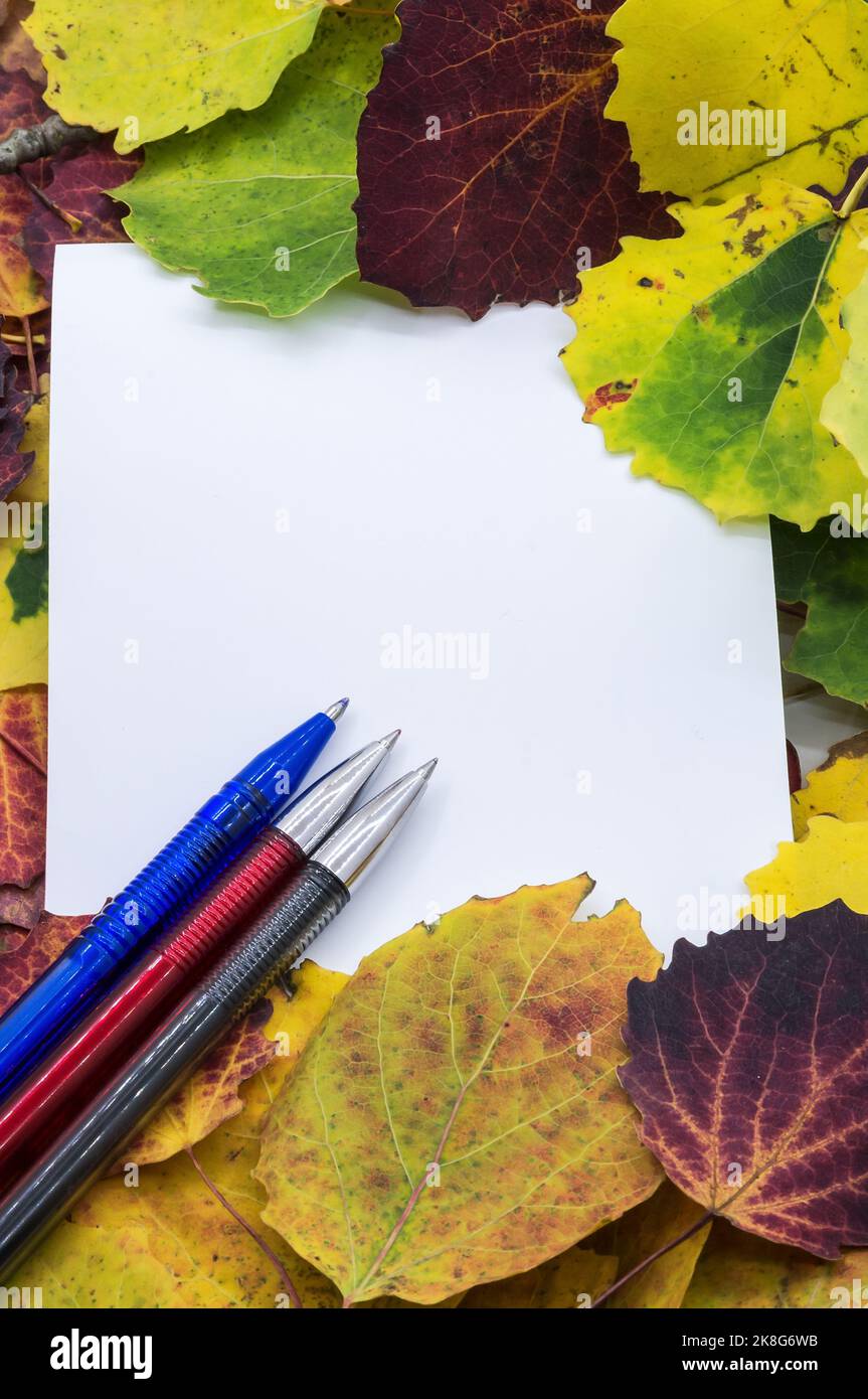 Foglie d'autunno e un quaderno per le note. Penne e notebook su sfondo autunnale. Foto Stock