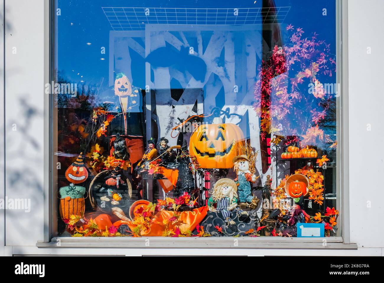 decorazione di halloween dietro una vetrina del negozio al dettaglio Foto Stock