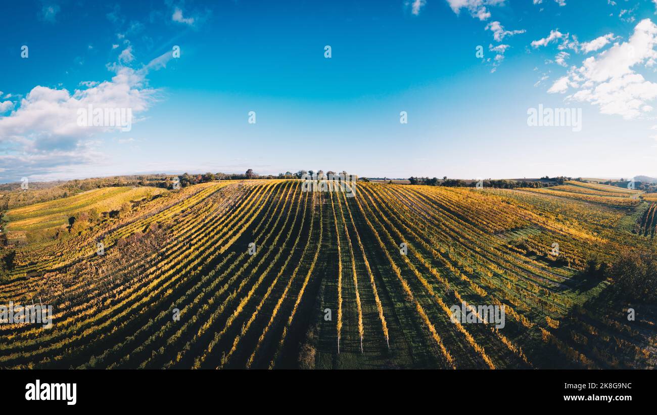 Campi di vigneti colorati dall'alto durante il tramonto in autunno. Famosa regione austriaca di Weinviertel. Foto Stock