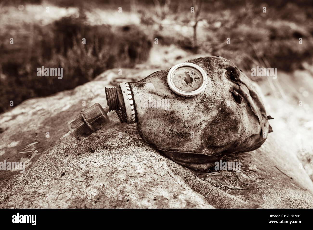 una vecchia maschera a gas usata giacente su una grande pietra Foto Stock