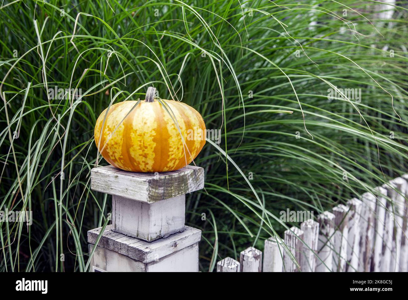 Piccola zucca a strisce su un vecchio palo di recinzione a Woodstock, Vermont, USA VT, USA New England Foto Stock