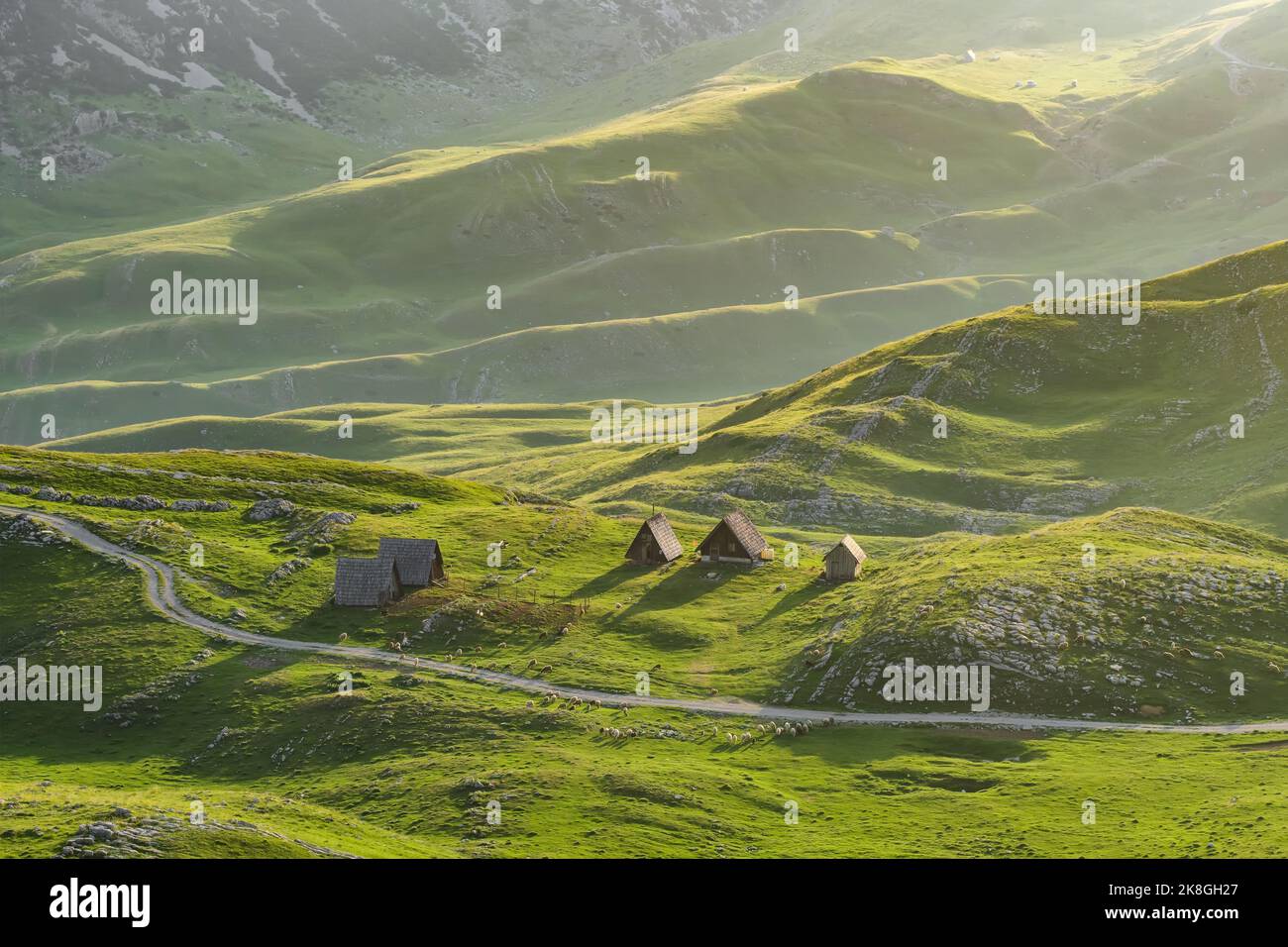 Paesaggio con case di pecore e gregge di pecore che pascolano nelle montagne Durmitor in Montenegro. Foto Stock