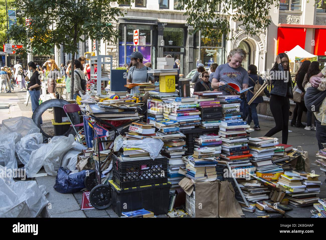 Venditore di libri usati indipendente e laboriosi lungo 14th Street a Union Square a Manhattan, New York City. Foto Stock