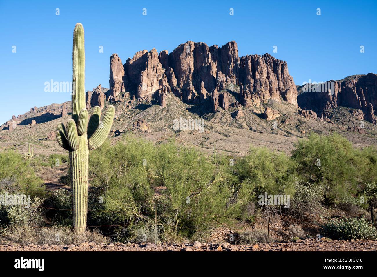 Le Superstition Mountains con un Cactus Saguaro in primo piano situato al di fuori di Phoenix Arizona Foto Stock