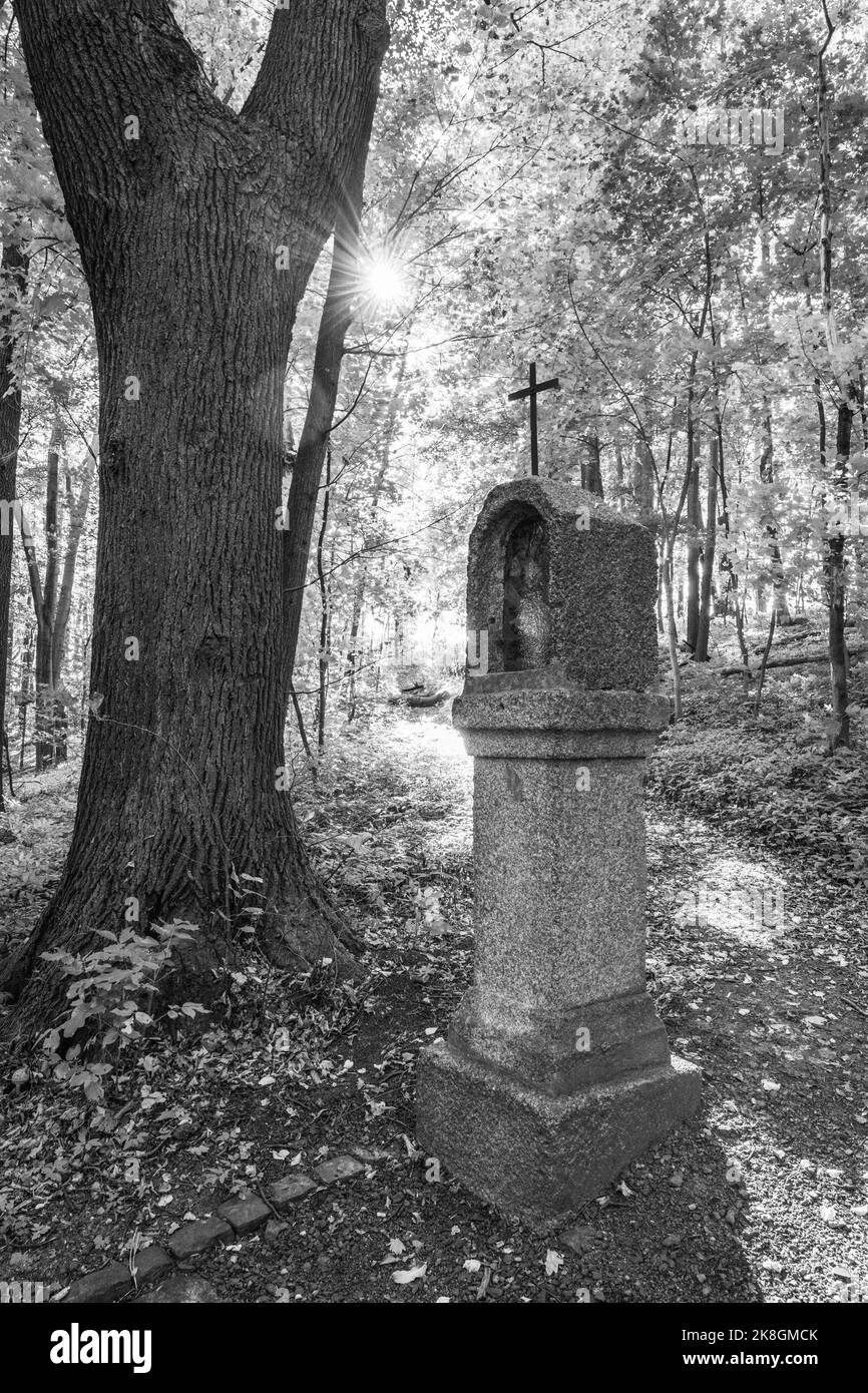 Foresta calvario in autunno Foto Stock