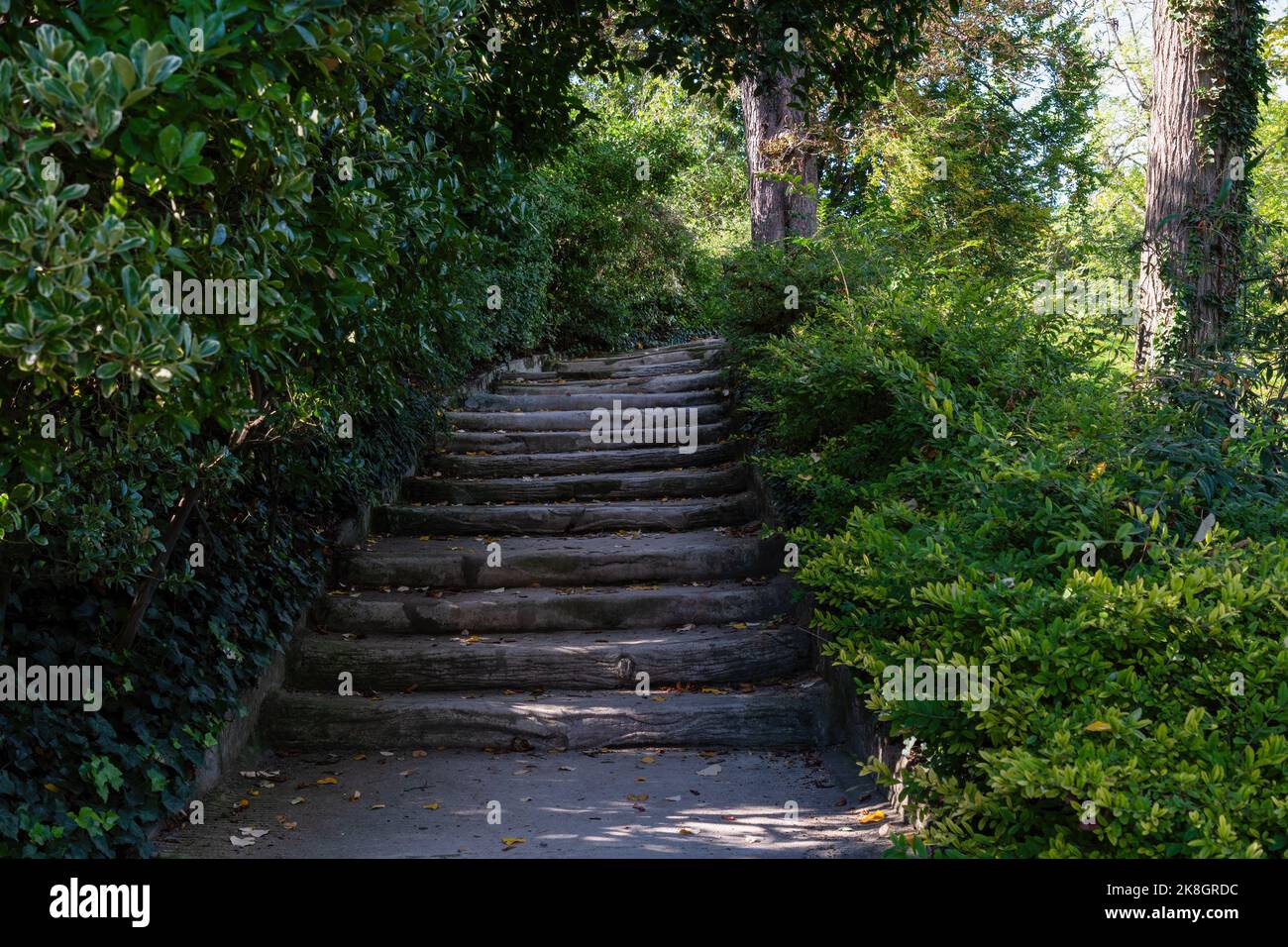 Scala nel Parc Montsouris all'inizio dell'autunno a Parigi, Francia Foto Stock