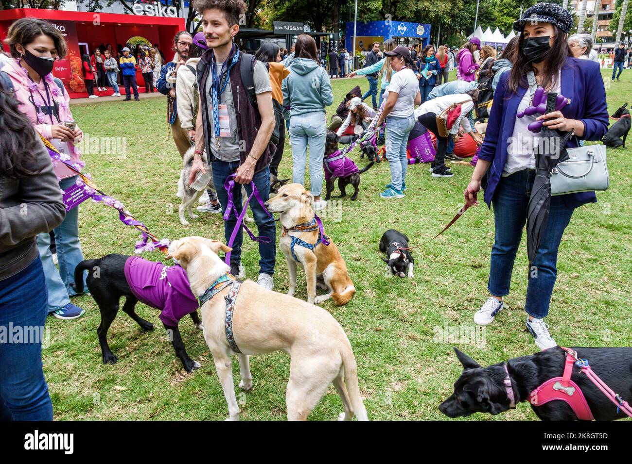Bogota Colombia, El Chico Parque de la 93 Be Happy Fest, cani disponibili fino per l'adozione uomo uomini maschio donna donne donna femmina, maschera viso maschere indossano Foto Stock
