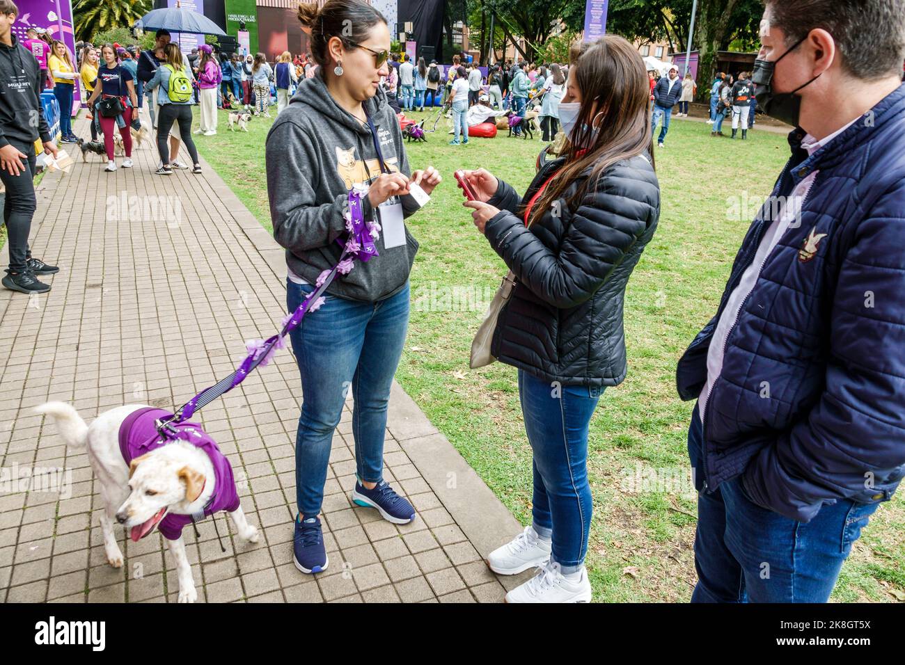 Bogota Colombia, El Chico Parque de la 93 Be Happy Fest, cani disponibili fino per l'adozione uomo uomini maschio donna donne donna femmina, maschera viso maschere indossano Foto Stock