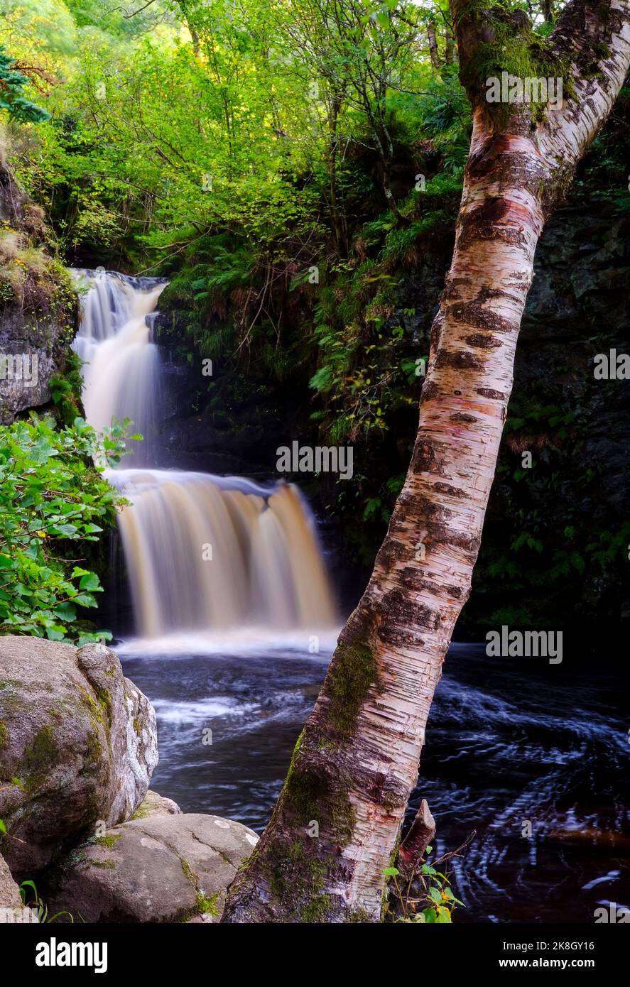 Linn Falls fornisce la fonte d'acqua per la distilleria Aberlour a Speyside, Scozia Foto Stock