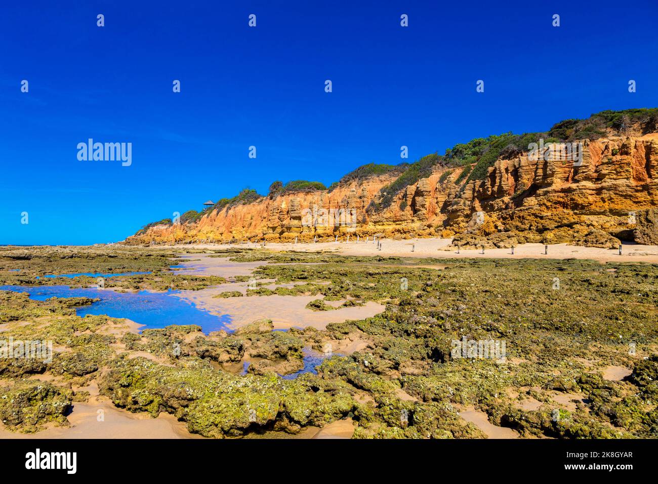 Rocce arancioni lungo Playa Sancti Petri, Costa de la Luz, Cadice, Spagna Foto Stock