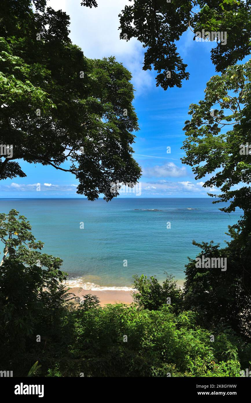 Vista mare e spiaggia dalla giungla, sull'isola di Saboga Foto Stock