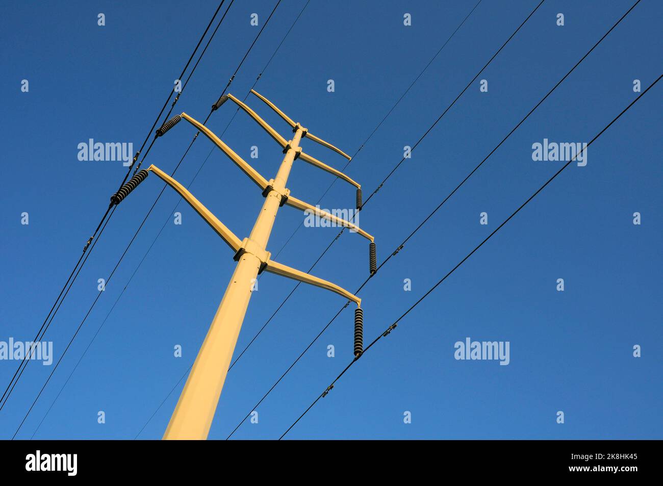 Sostenere la torre e le linee elettriche Foto Stock