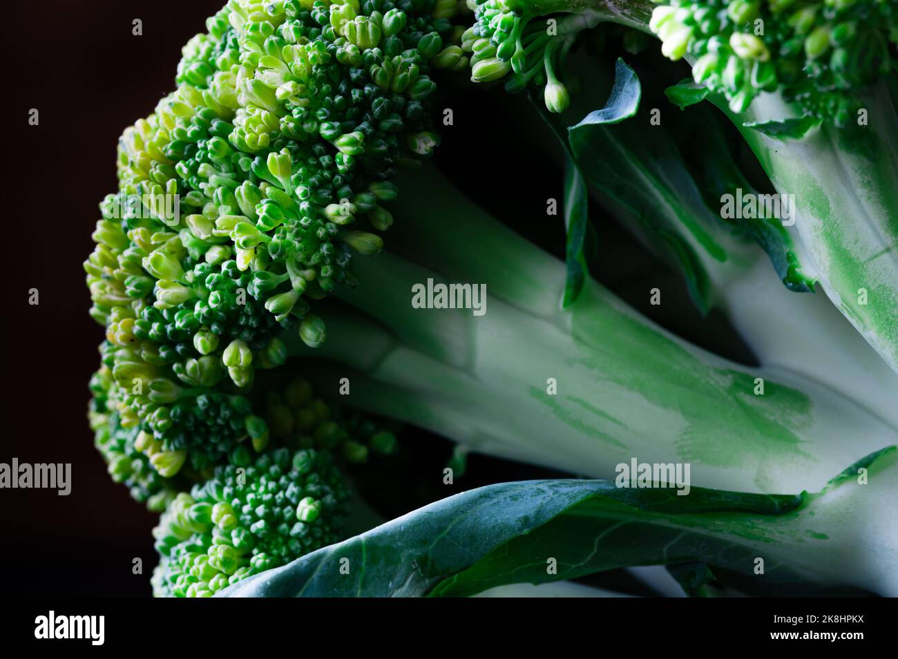Vista laterale dei broccoli su sfondo scuro Foto Stock