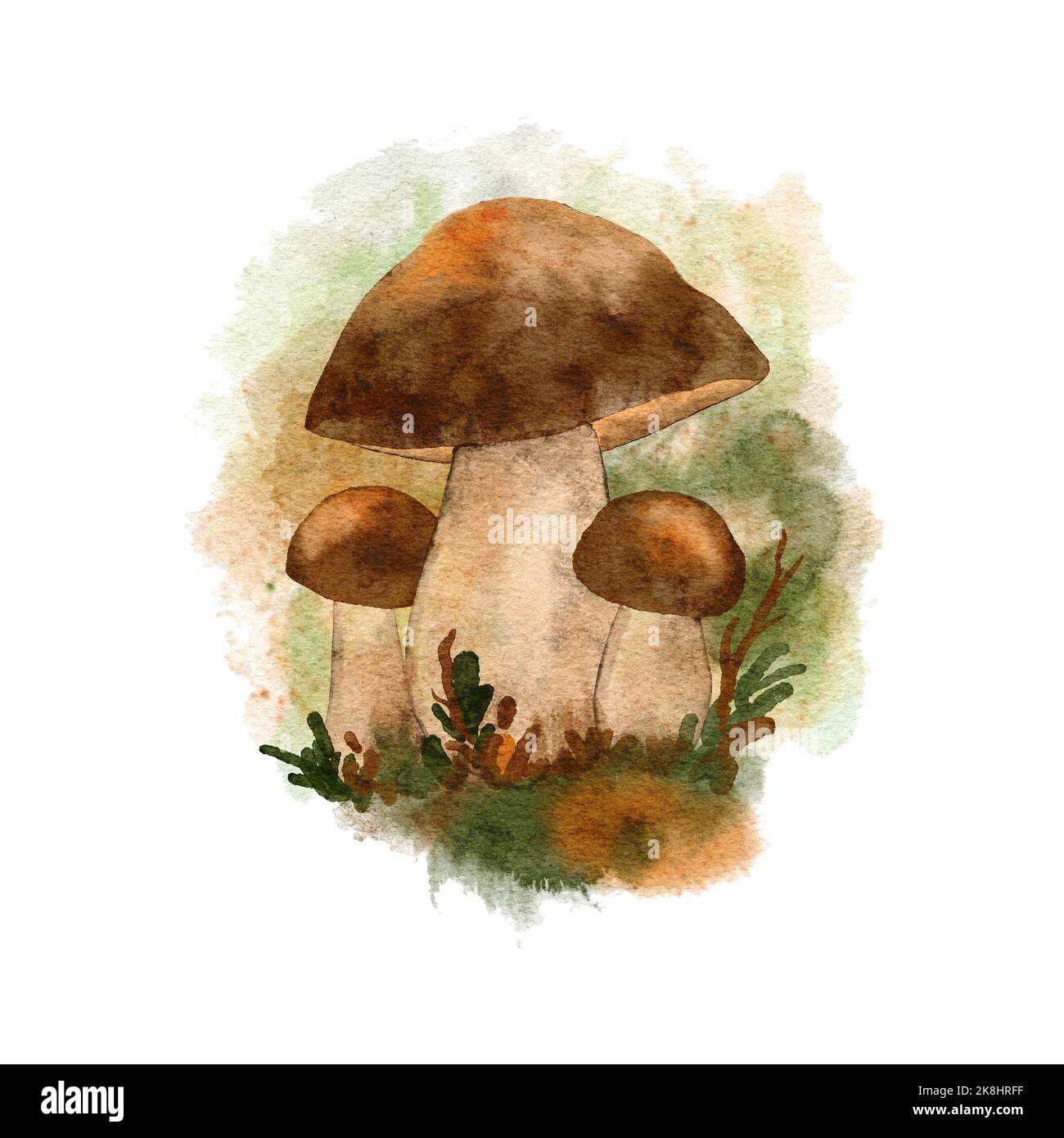 Acquerello disegnato a mano funghi di foresta, funghi velenosi commestibili in legno di bosco. Autunno caduta natura design, toadstool webcap mosca stampa agarica, funghi selvatici arte Foto Stock