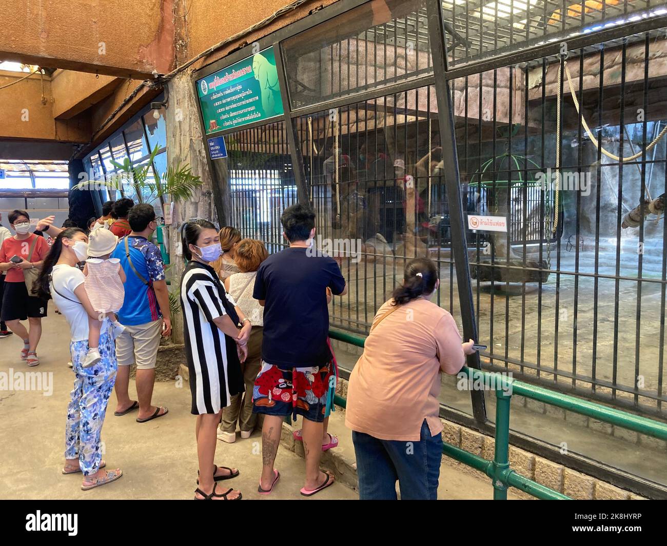 Bangkok, Thailandia. 23rd Ott 2022. I visitatori dello zoo di Pata, sul tetto di un centro commerciale di Bangkok, aspettano fuori dalla gabbia di Bua noi per vedere da vicino la gorilla femminile. BUA noi ha vissuto per più di 30 anni nello zoo, soprannominato "Hell Zoo", su pavimenti in cemento senza luce naturale o natura. È l'unica gorilla della Thailandia. (A dpa 'Nuova lotta per Bua noi - l'unico gorilla della Thailandia nello zoo dell'orrore') Credit: Carola Frentzen/dpa/Alamy Live News Foto Stock