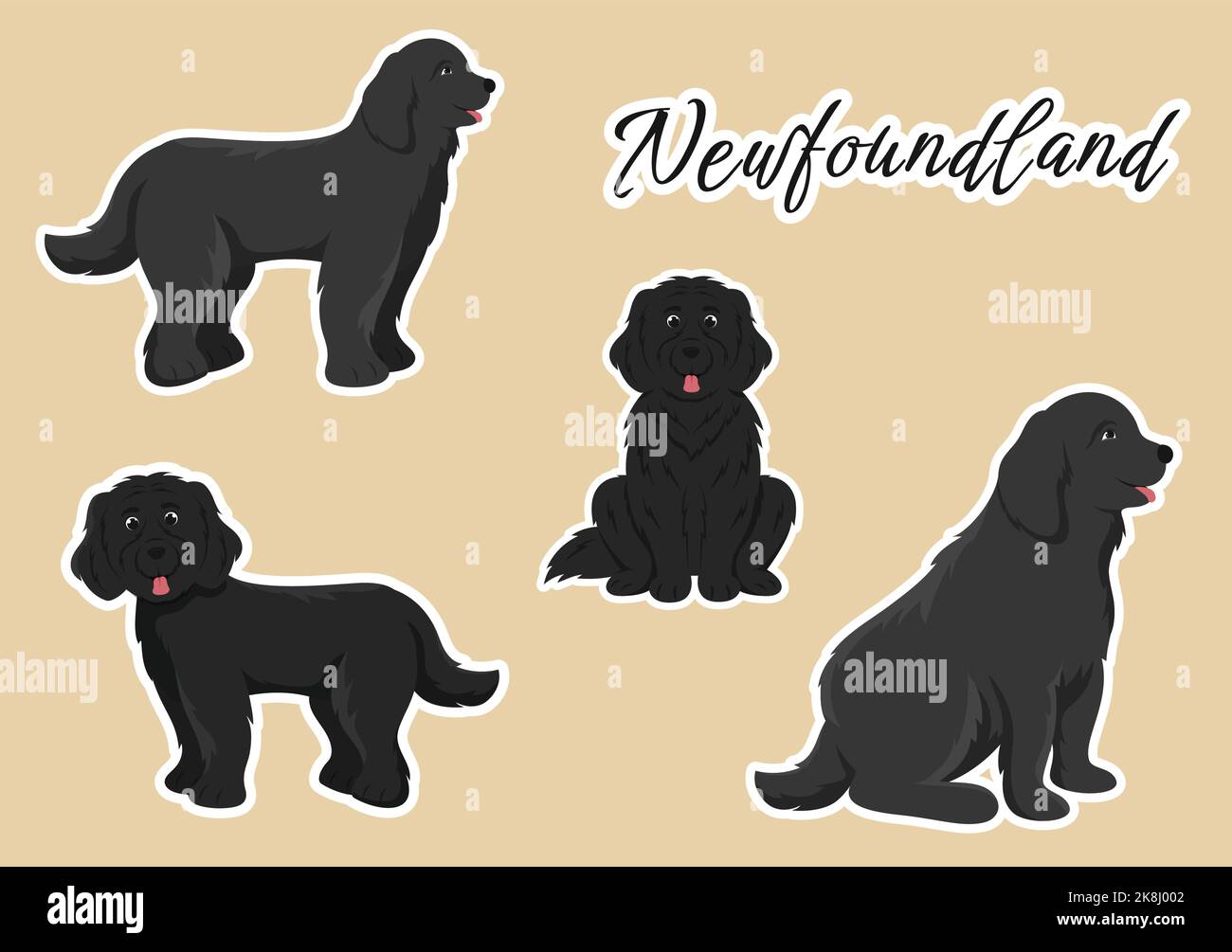 Terranova Dog Animals con colore nero, marrone o Landseer in stile piatto Cartoon modello carino disegnato a mano Illustrazione Illustrazione Vettoriale