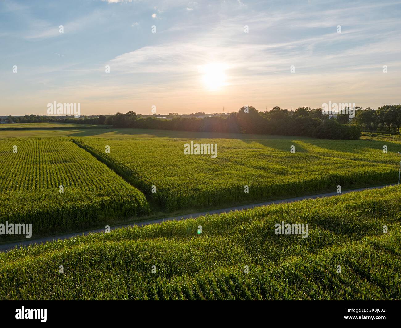 Terreno o paesaggio di campo verde in vista aerea. Includono fattoria agricola, casa di costruzione, villaggio. Quel bene immobile o proprietà. Terreno per hou Foto Stock