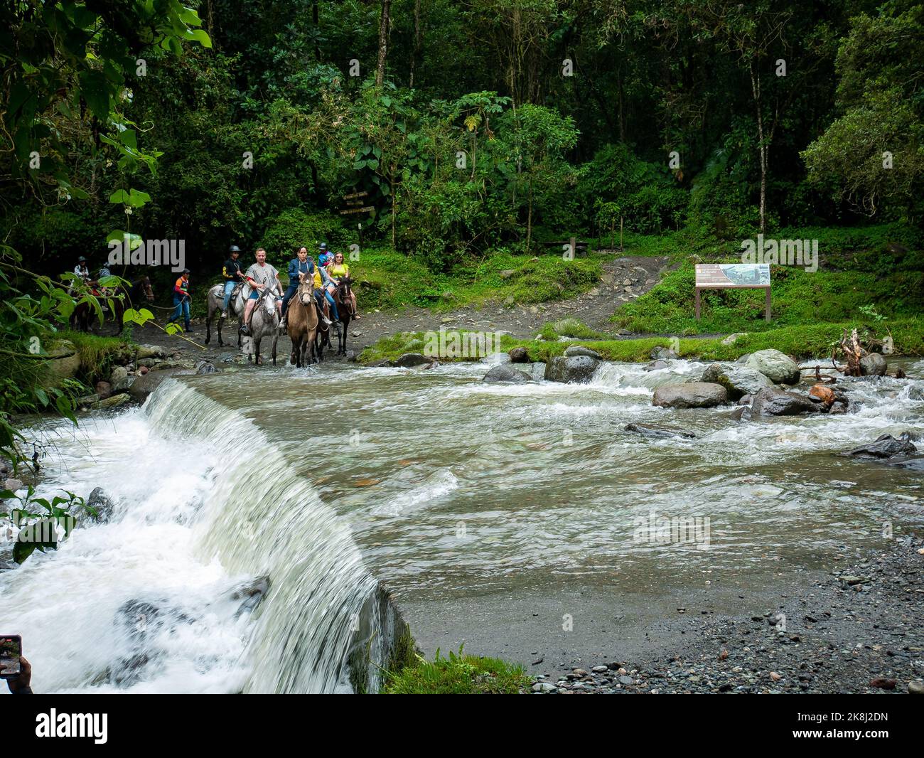 Valle di Cocora, Quindio, Colombia - Giugno 6 2022: I turisti pagano per lo sfruttamento degli animali, usano cavalli per non camminare sul fiume o sul terreno bagnato Foto Stock
