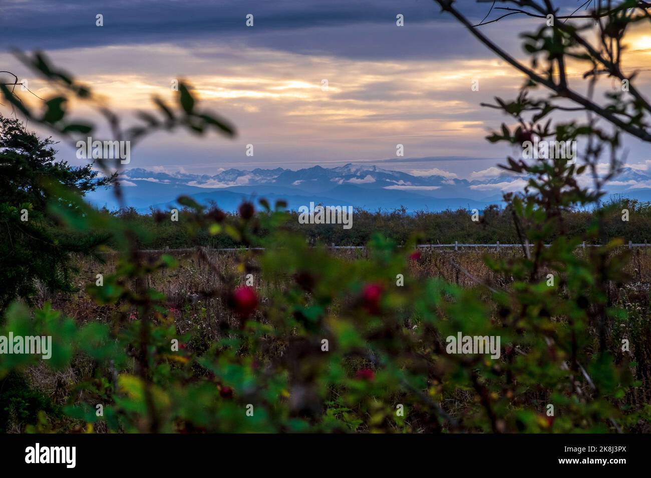 Ebey's Trail, Admiralty Inlet Preserve, Whidbey Island, Washington, Stati Uniti, Olympic Peninsula in lontananza Foto Stock