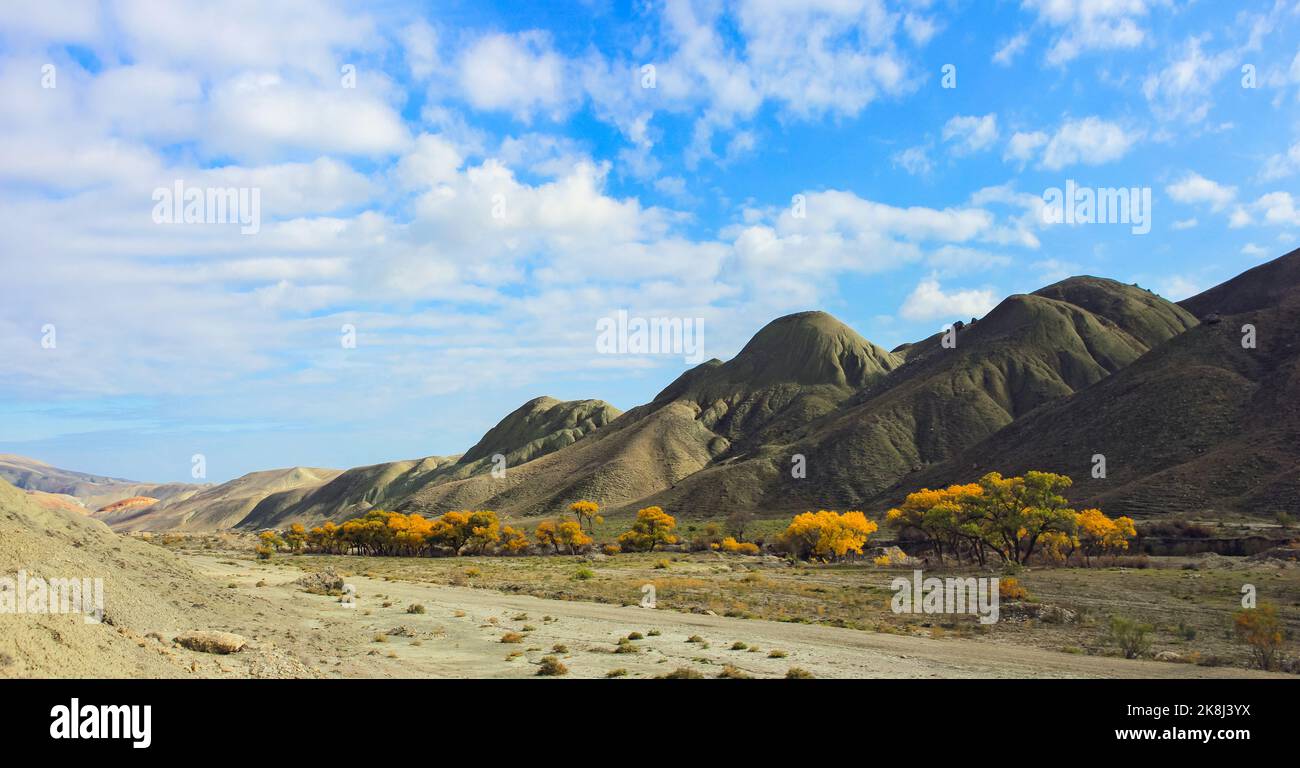 Splendidi alberi gialli sul fiume. Regione di Khizi. Azerbaigian. Foto Stock