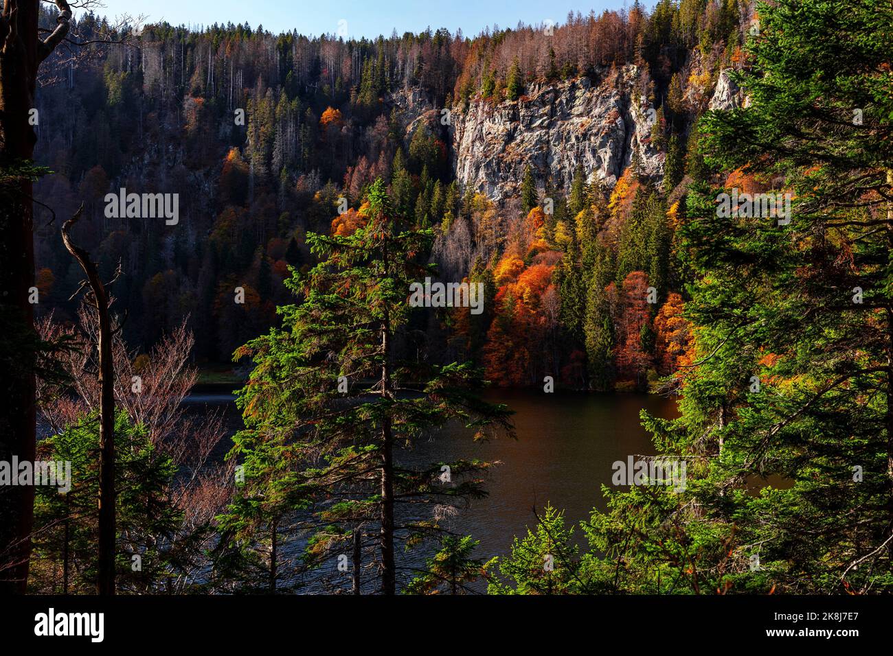 Feldsee autunnale con vista sulla parete rocciosa vicino al Feldberg nello Schwarzwald Foto Stock