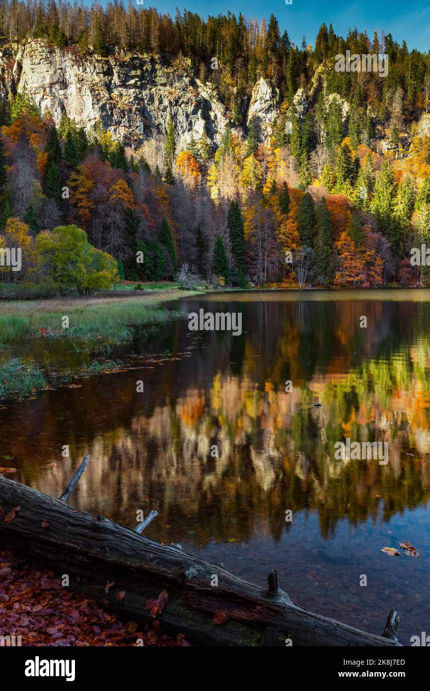 Atmosfera autunnale al lago Feldsee nella Foresta Nera, Germania Foto Stock