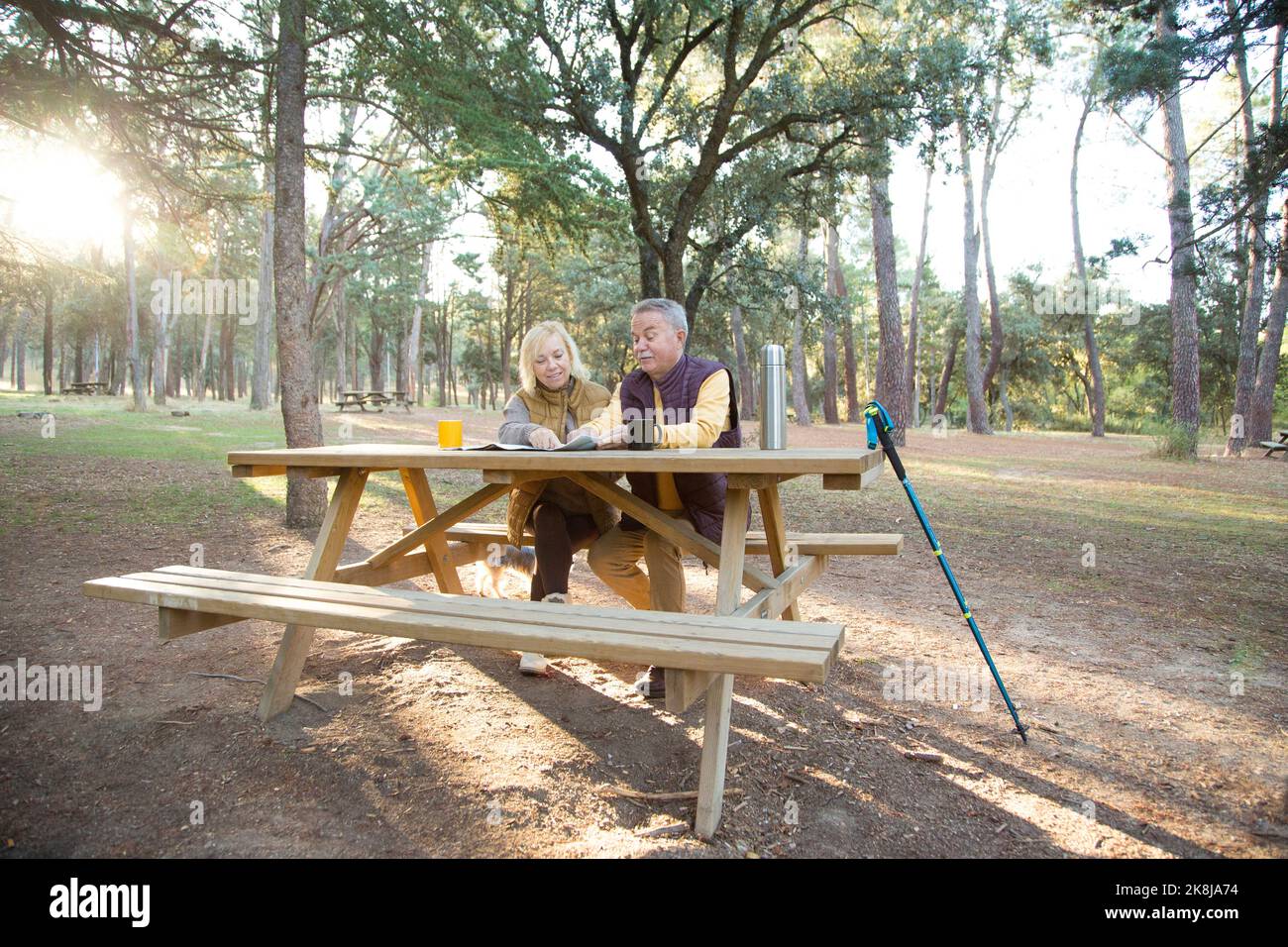 Coppia matura di escursionisti seduti in un'area pic-nic che pianifica un percorso con una mappa Foto Stock