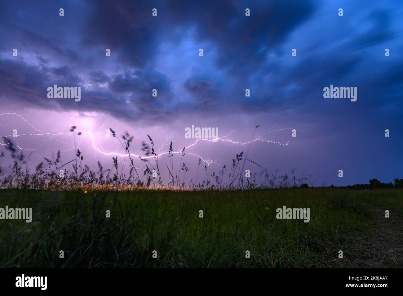 Atmosfera di temporale con fulmini su campi di grano con cielo nuvoloso Foto Stock