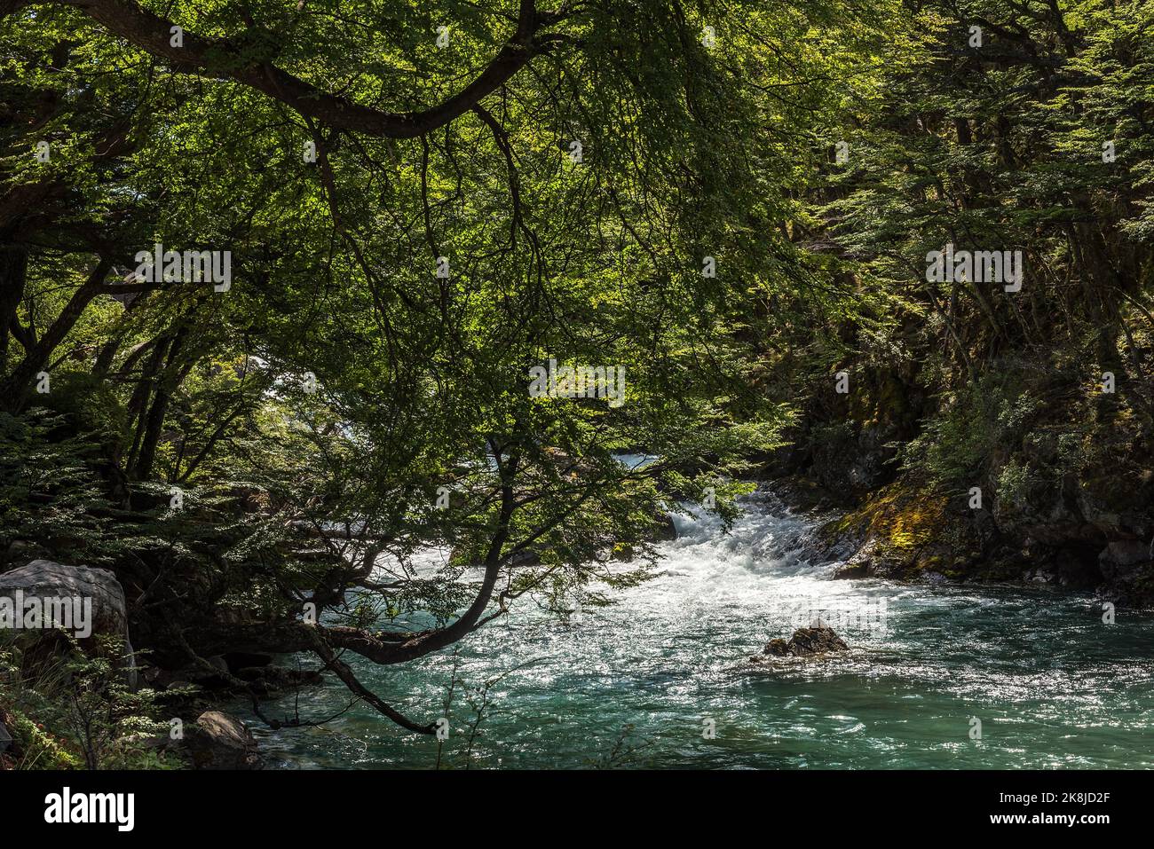 Piccola cascata nel Parco Nazionale Los Glaciares in Argentina Foto Stock Piccola cascata nel Parco Nazionale Los Glaciares in Argentina Foto Stock
