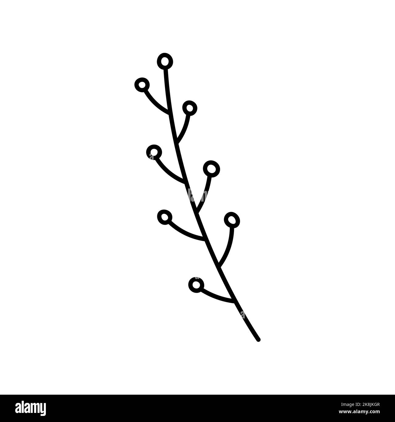 Ramificazione con bacche isolate su fondo bianco. Disegno vettoriale a mano in stile doodle. Perfetto per carte, logo, decorazioni, design vario Illustrazione Vettoriale Ramificazione con bacche isolate su fondo bianco. Disegno vettoriale a mano in stile doodle. Perfetto per carte, logo, decorazioni, design vario Illustrazione Vettoriale