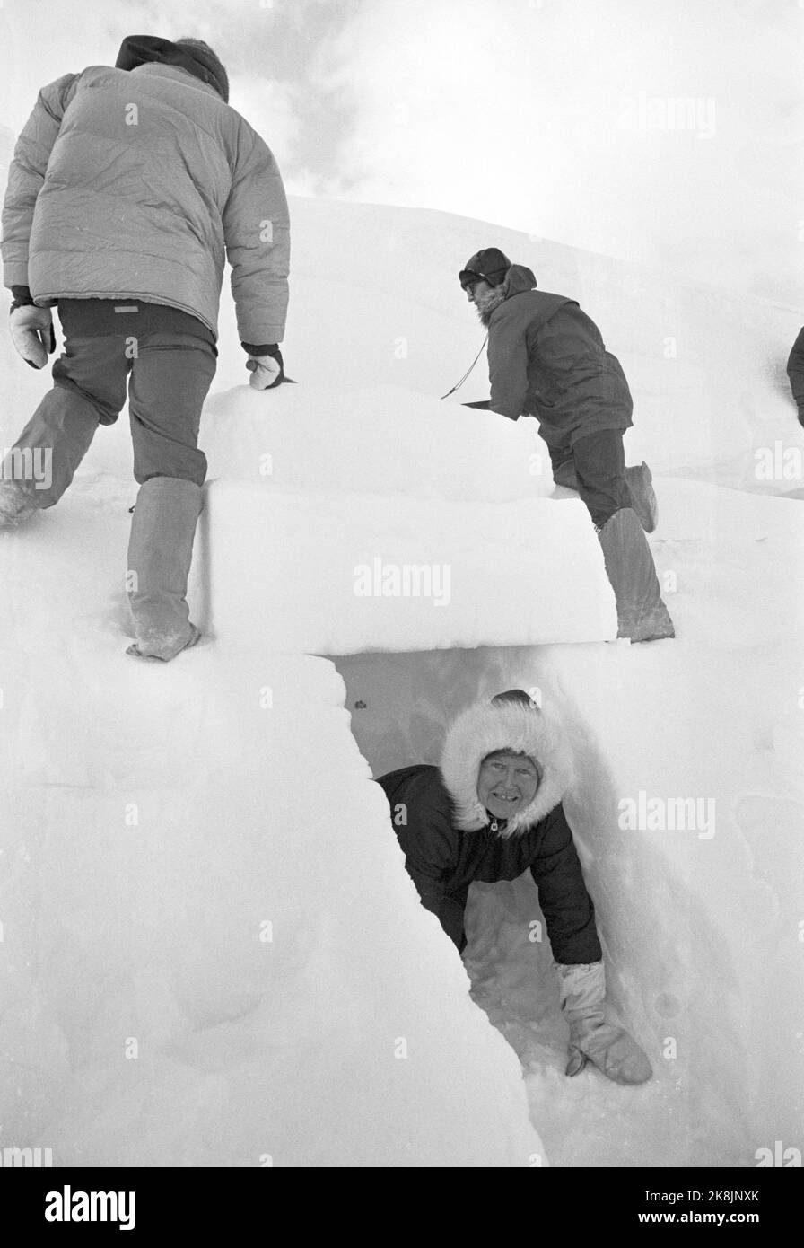 Hallingskeid 19720401 la Norwegian Tourist Association organizza qualcosa che chiamano Turveke ad Hallingskeid. Affittano la casa in pietra di NSB che era originariamente una caserma di costruzione per i ragazzi che costruirono la ferrovia di Bergen, e questa casa è la più comoda delle cabine incustodite dell'associazione turistica. Immaginazione; in un'escursione nelle montagne di Pasqua, deve avere un'occhiata alle piste di neve dove si può scavare in un tetto di cecchino. Karin Denstad, Oslo, sulla sua via di uscita dal bivacco di emergenza. Foto; Sverre A. Børretzen / corrente / NTB Foto Stock