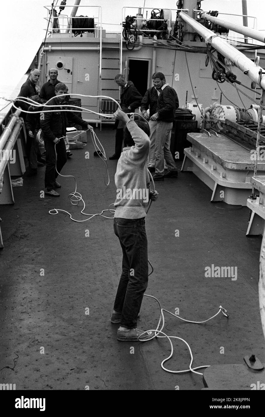 Groenlandia settembre 1969 per la prima volta, l'attenzione sarà dedicata al muschio in Norvegia. 25 vitelli moschee sono prelevati dalla Groenlandia orientale a Moskusgården a Bardu. I vitelli muschio devono essere catturati con il lazo, anestetizzati e volare in elicottero per la raccolta sull'armonia della nave artica. L'equipaggio utilizza il proprio tempo libero per esercitarsi a lanciare il lazo per riuscire a catturare il muschio in modo efficace. Foto: Storløkken / corrente / NTB Foto Stock