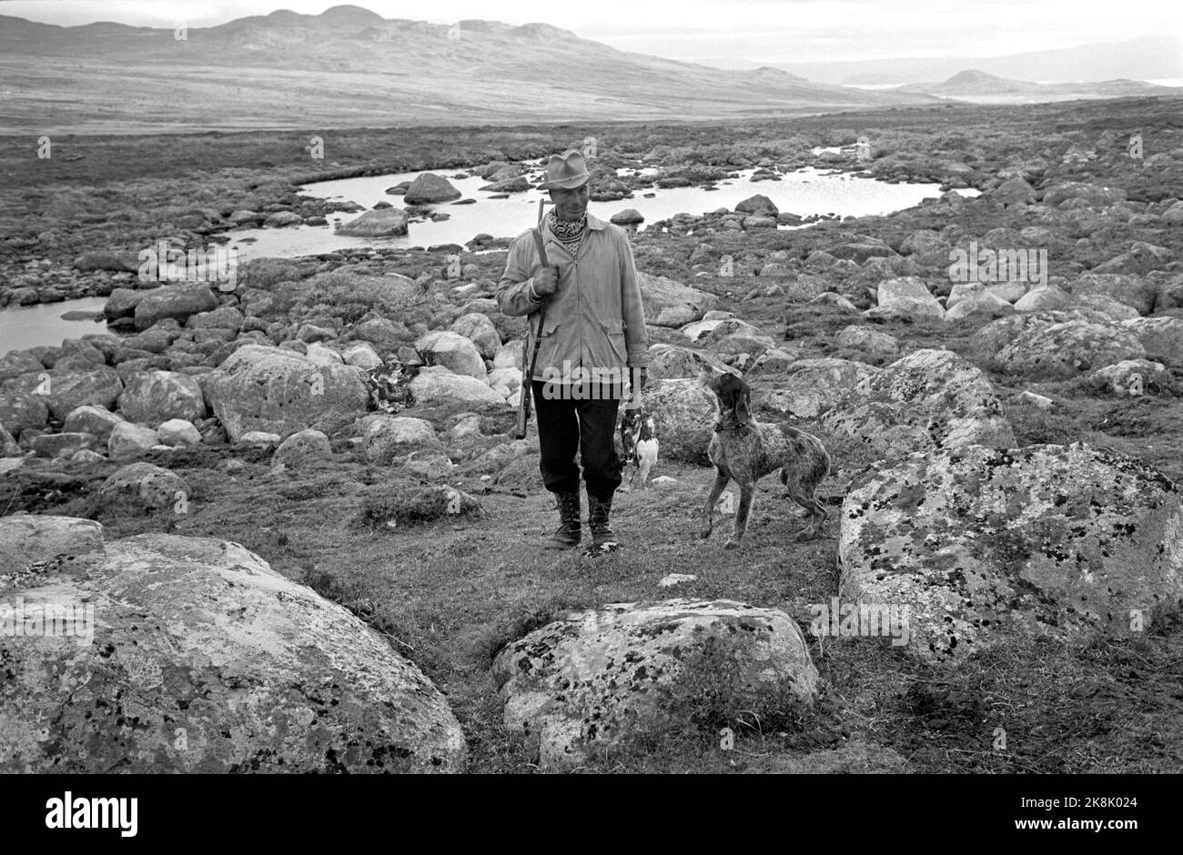 Hardangervidda 1966-10-01 proprietario privato Gerhard Aage Treschow parte privata di Hardangervidda, Berunuten, comprende 170.000 obiettivi Villreinfjell e Fiskevann. Il proprietario Gerhard Aage Treschow ha noleggiato agenti di polizia da Larvik per monitorare i loro interessi privati. Foto: Aage Storløkken / corrente / NTB Foto Stock