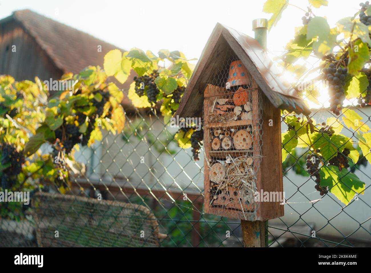 Insetto casa appesa in giardino, concetto di ecologia giardinaggio e stile di vita sostenibile. Foto Stock