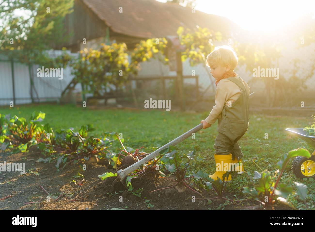 Bambino con zappa che lavora in giardino durante il giorno d'autunno. Foto Stock