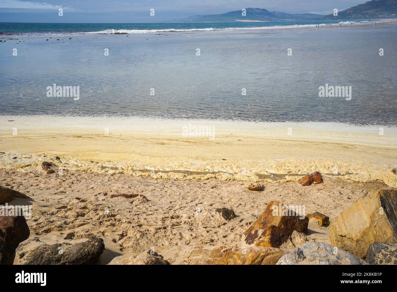 Schiuma marina lavata o soffiata su una spiaggia a causa di fuoriuscite di petrolio, inquinamento a Tarifa Beach, Andalusia, Spagna. Foto Stock