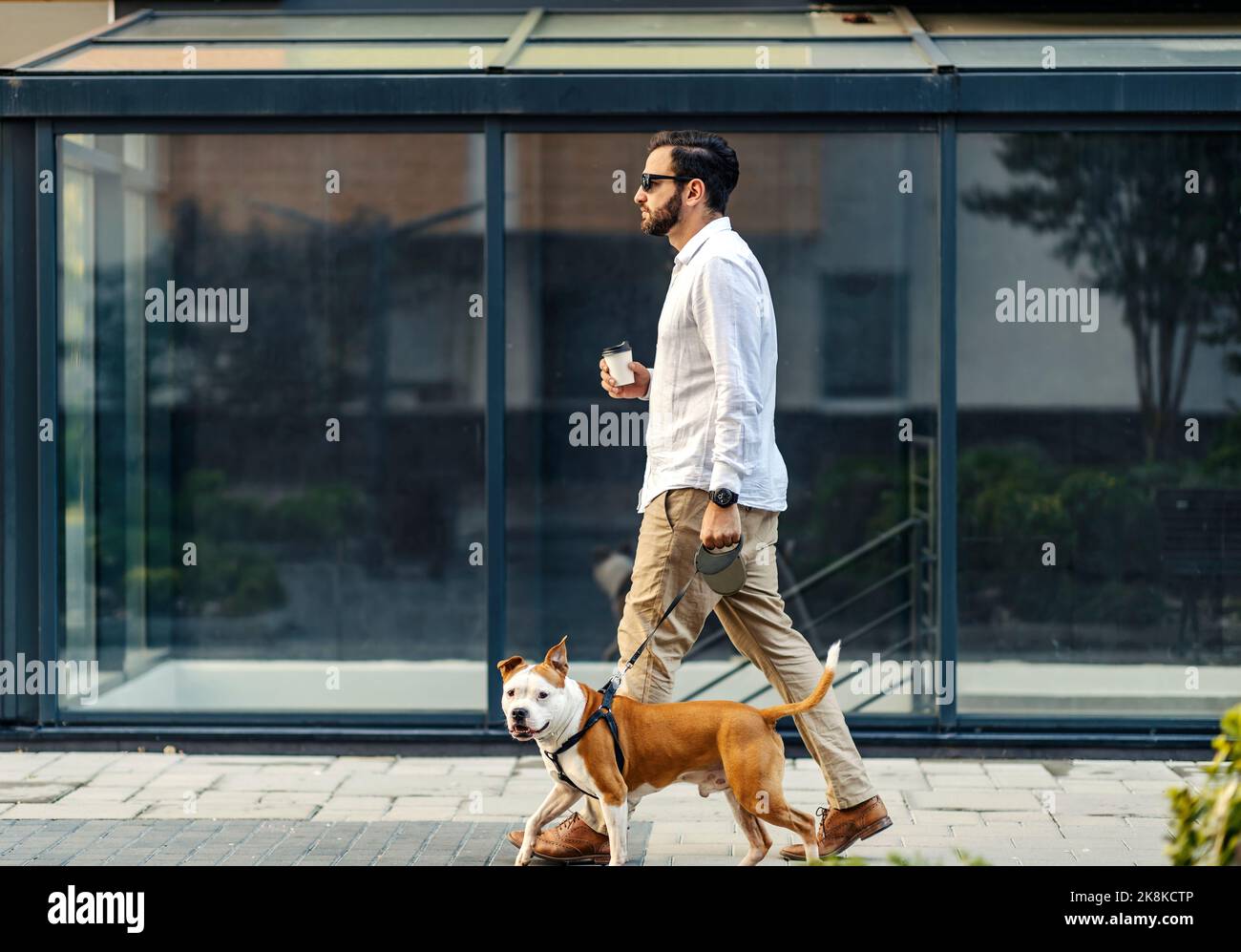 Uomo d'affari che cammina il suo cane su un guinzaglio e beve il suo caffè per andare. Passano accanto agli edifici. Foto Stock