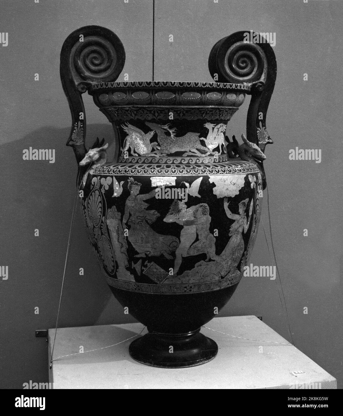 Oslo 19560127 sensazionale mostra di arte etrusca nella Casa degli Artisti. Gli Etruschi, un popolo antico in Italia, lasciarono grandi quantità di opere d'arte, tra le altre cose. Terakotta e bronzo. Ecco un vaso / urna etrusca. Foto: NTB / NTB Foto Stock
