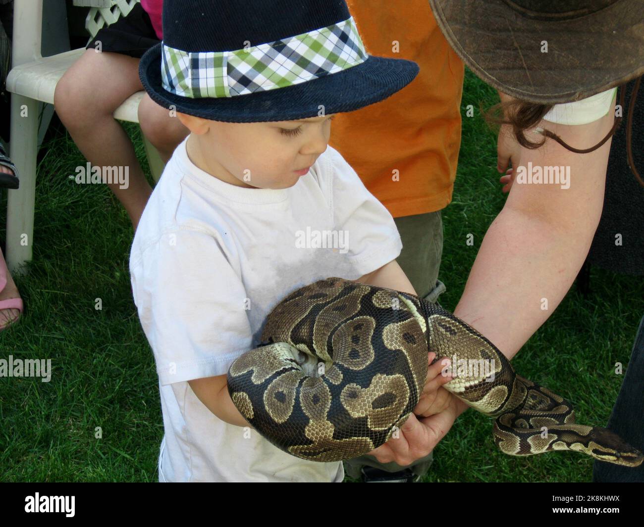 Un ragazzino che tiene il serpente grande sulle mani Foto Stock