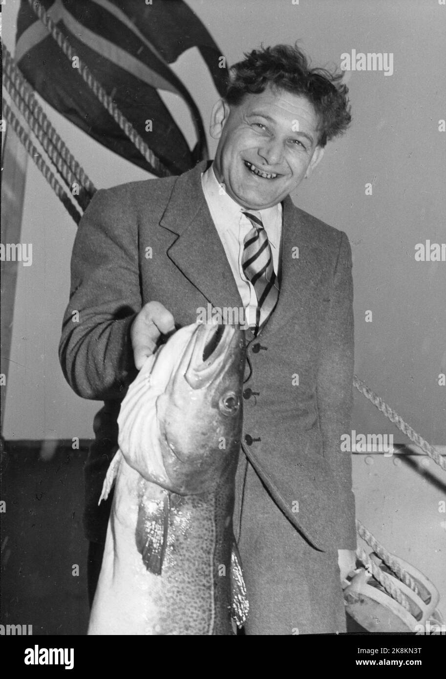 Lofoten 1950 Ministro della pesca Reidar Carlsen con grande merluzzo nel suo pugno. Foto: Corrente / K. W. Gullers / NTB Foto Stock