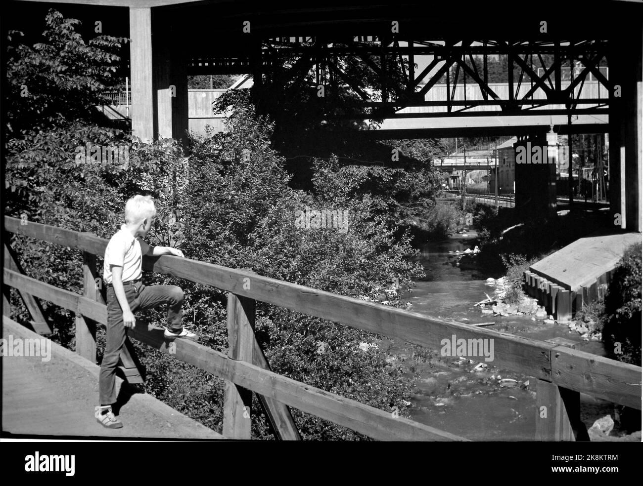 OSLO Juli 1971 Idyllen som ender i søppel'. Ingress:Loelva, også kalt Alnaelva, i sin tid Oslos grenseelv mot øst, har sitt utspring i de krareste drikevannskilder i Lillomarka og ender som en gift-dusj i Oslo-fjorden ved Loenga etter å ha rislet gjennom de store boludelsenig i begelog bydaloren. Liten gutt står på en bro og ser på forurensningen. Foto: Aage Storløkken / Ivar Aaserud / Aktuell / NTB Foto Stock