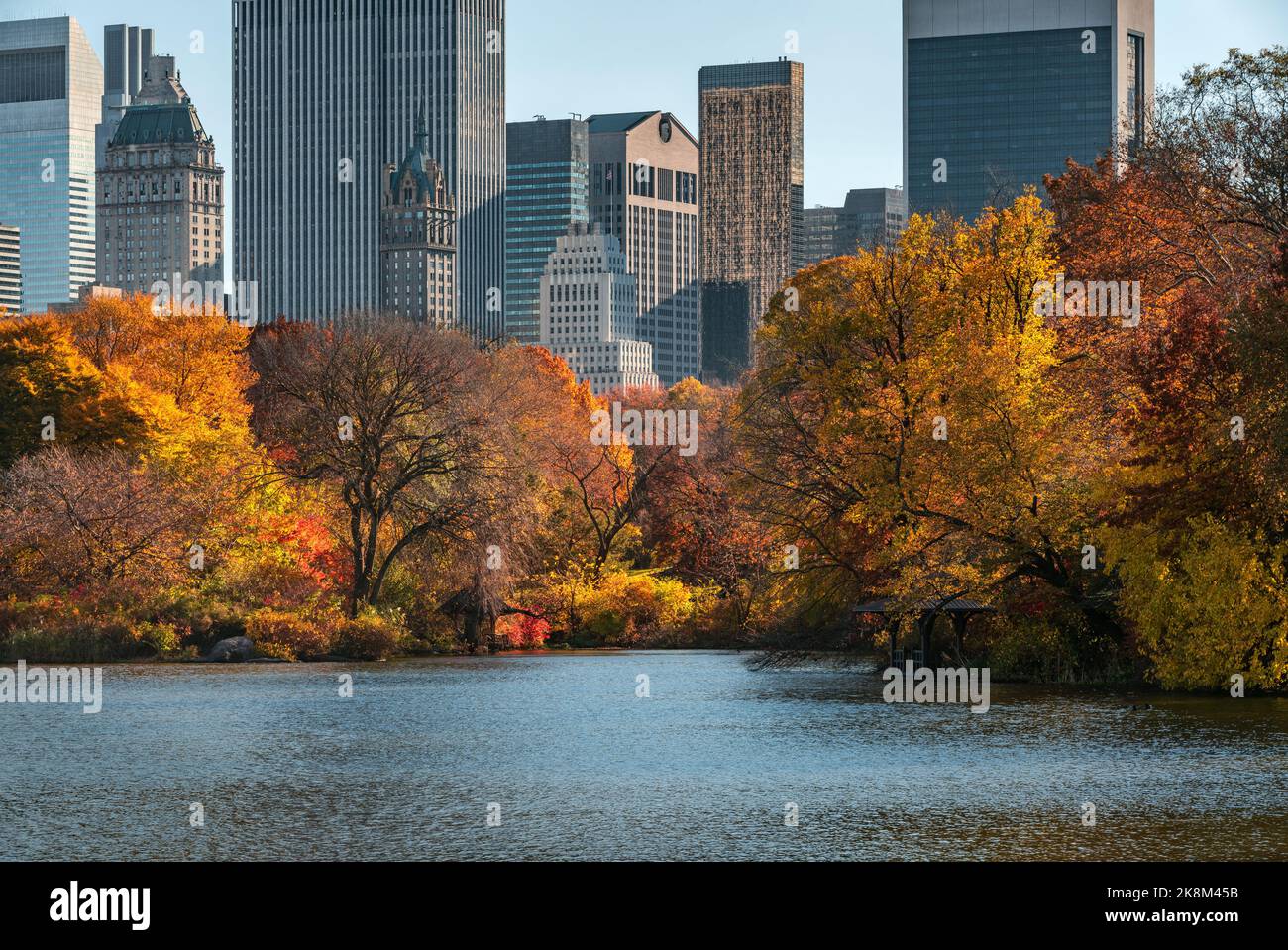 Autunno a Central Park at the Lake con il brillante fogliame autunnale e i grattacieli di Midtown. Manhattan, New York City Foto Stock