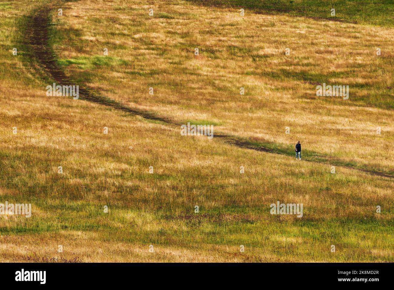 Zlatibor trekking attività all'aperto, irriconoscibile donna informale a piedi attraverso il paesaggio di erba collina in sole giornata estiva in questo resort turistico serbo Foto Stock