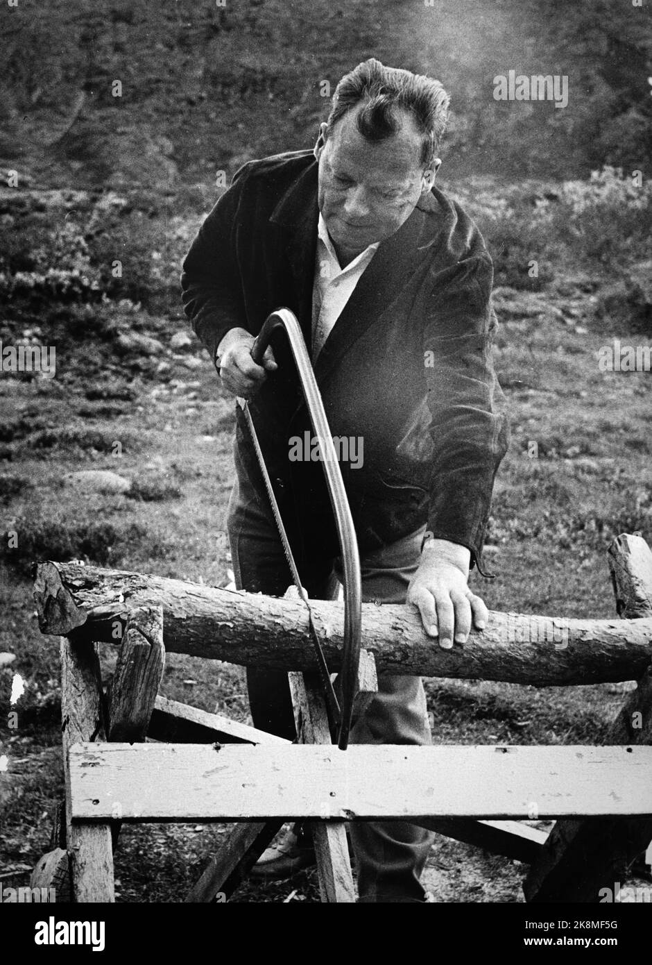 Gjende 19620724 Willy Brandt sega legno. Sulla montagna di Gjende dove lui e la famiglia sono in vacanza. Foto; ntb Foto Stock