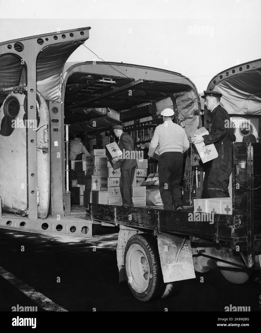 Oslo novembre 1956: La crisi ungherese: Sia la Croce Rossa che gli aiuti della popolazione norvegese hanno raccolto fondi per i bisognosi in Ungheria. Tra le altre cose, c'era un aereo con sette tonnellate di cibo in scatola. Nei primi giorni la Croce Rossa aveva inviato voli per Vienna con aiuti di emergenza del valore di 60.000 kr. Qui cibo e medicine sono caricati a bordo di un aereo. Foto: Aage Storløkken / corrente / NTB Foto Stock