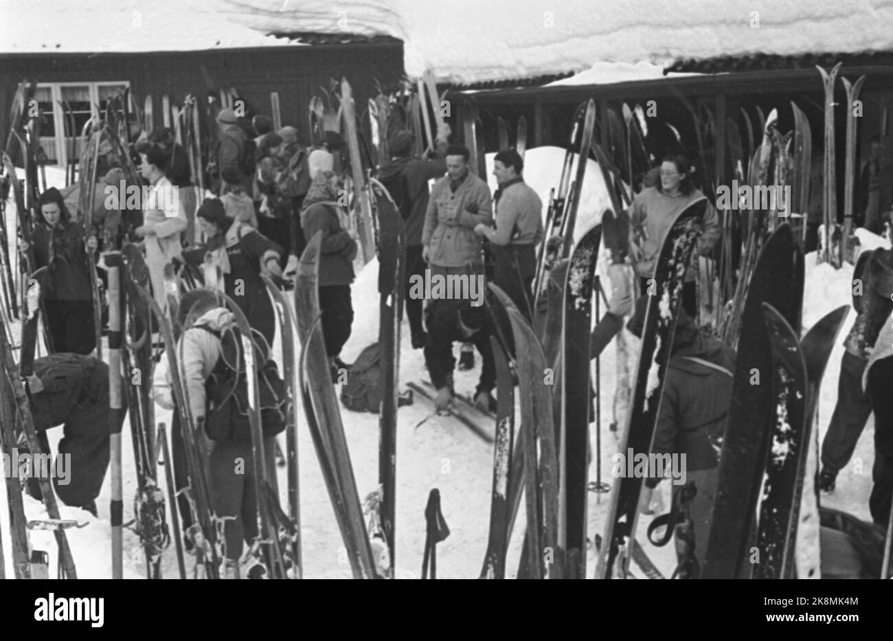 Oslo. Ullevålseter una domenica di sci nel 1948. Il campionato di Oslo, sci di fondo. Grandi quantità di persone fuori per godersi la bella giornata. Foto: NTB Foto Stock